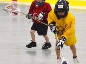 Members of the Paperweight Northstars team chase the ball during a Saturday June 2, 2012 morning practice at the Owen Sound Regional Recreation Centre. 
WILLY WATERTON/OWEN SOUND SUIN TIMES/QMI AGENCY