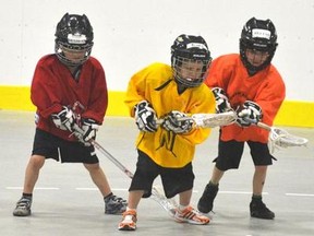 Members of the Paperweight Northstars team chase the ball during a Saturday June 2, 2012 morning practice at the Owen Sound Regional Recreation Centre.
WILLY WATERTON/OWEN SOUND SUIN TIMES/QMI AGENCY