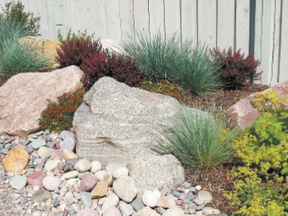 One of the big reasons perennial and ornamental grasses are popular is because they take little to no maintenance.