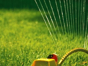 Lawn sprinkler