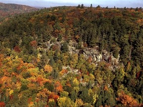 Algonquin Park