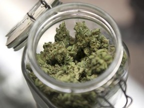Medical marijuana.
REUTERS FILE PHOTO