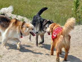 Riverview Off Leash Dog Park is being operated by Timmins Responsible Owners of Mannerly Pets - TROMP for short.