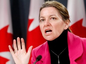 Liberal International Trade Critic Martha Hall Findlay held a press conference on Parliament Hill to discuss perimeter security, in Ottawa, February 22, 2011.      Chris Roussakis/QMI Agency