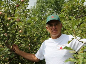 Charlie Waddell, owner of Waddell Apples on Hwy. 15 near Joyceville. (Danielle VandenBrink/Whig-Standard file photo)