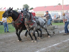 Horse pulls, beef shows, farmer's Olympics and entertainment are just a few of the activities that have kept the South Mountain Fair running successfully for 120 years.
Submitted photo