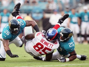 The NFL is suing nearly three dozen insurance companies, seeking to force them to defend the league against mounting brain injury claims. (Daron Dean/Reuters/Files)