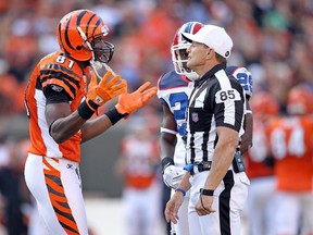 Terrell Owens, of the Cincinnati Bengals, pleads his case with game official Ed Hochuli during the 2010 season. The NFL could go into the regular season with replacement officials for the second time in 11 years. (AFP)