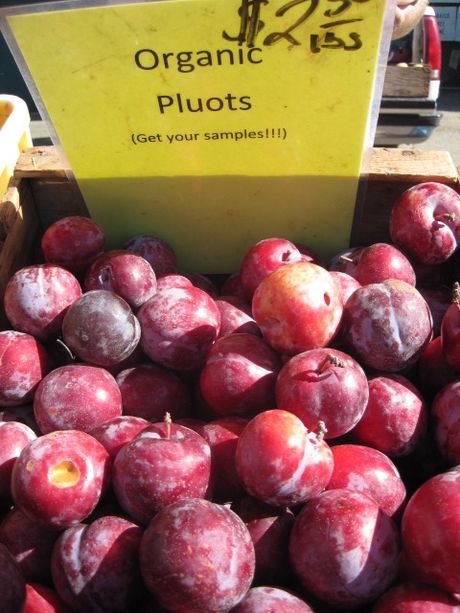 2024 Gotta Have My Plums and Pluots | Organic Fruit Club | 4 Shipments