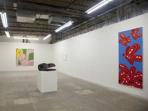 Installation shot of Shawn Hunt's solo exhibition at Blanket Gallery.