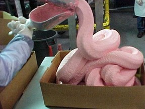 Processed chicken after it has been washed with ammonia, before the addition of artificial flavour and colour