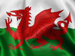 Welsh Flag