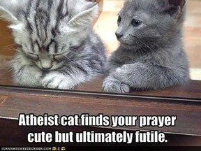 Atheist cat finds your prayer cute but ultimately futile