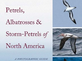 Steven Howell's new guide Petrels, Albatrosses & Storm-petrels of North America