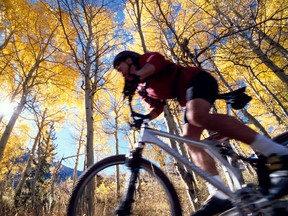 @Glowimages: Happy Mountain Biker