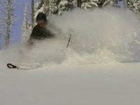 Powder skiing tips