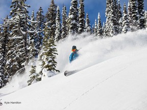 Scott Martin @ Snowwater Heliskiing / Photo: Kyle Hamilton