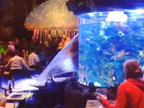 Video: Giant aquarium breaks at Downtown Disney restaurant