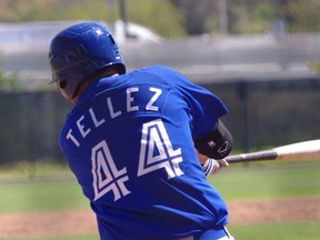 Tellez swats at some bees (image courtesy of Jay Blue)