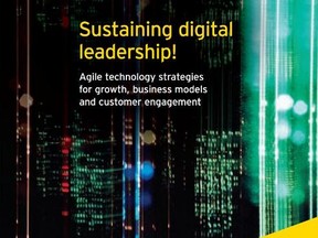 sustaining digital leadership