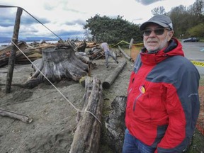 Brazilian artist Hugo Franca and his crew prepare to carve a large  piece of driftwood at Spanish Banks Friday for the Vancouver Biennale.
