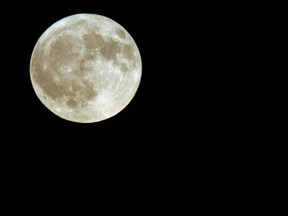 Moon gardening: Some still believe it makes a lot of sense