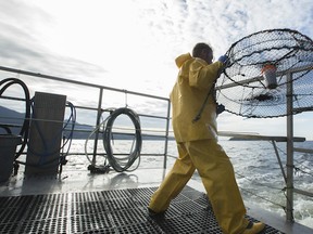 Frank Keitsch of Organic Ocean releasing spot prawn traps during spot prawn season