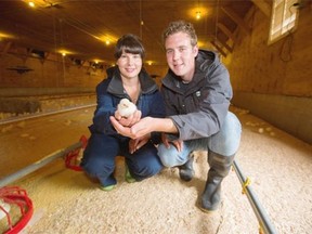 Brad Driediger and wife Kimberly are fifth generation chicken farmers and managers of Windberry Farms, a certified organic chicken farm located in Abbotsford. Brad is the eldest of four sons to Mark and Sandy Driediger, who are the owners of the farm.