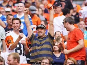 B.C. Lions fans catch free balls during the BC Lions game against the Winnipeg Blue Bombers at BC Place in Vancouver Friday night. (Photo by Kim Stallknecht/PNG)