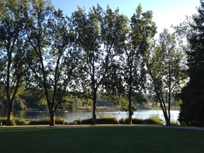 View of Deer Lake from the Hart House patio