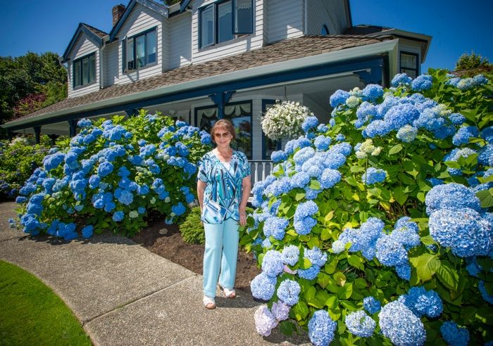 カーペンター　ブルーベーブン　Blue Heaven 40-120 カーペンター ブルーベーブン Blue Heaven 40-120 カーペンター