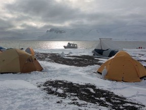 Narwhal research in the Arctic, Vancouver Aquarium