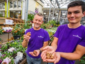 Peter Fitzmaurice (left) and Talon Roberts holding autumn-flowering crocuses at GardenWorks in Burnaby