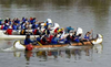 Voyageur canoes race up the Fraser River during the annual Cranberry Race in Fort Langley.