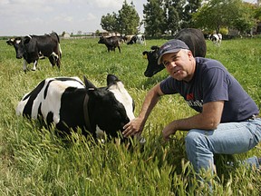 Mark McAfee is a raw milk entrepreneur.