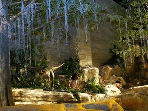 A Middle Eastern astronomy professor is among those who say critical thinking and even human rights come under threat when Muslims and evangelical Christians literally believe that God created the universe in "six days." Photo shows Creation Museum in U.S., which claims dinosaurs and human existed at same time.