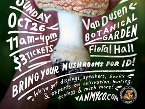 Mushroom show poster