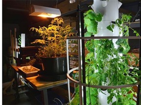 FoodGROWS offers a variety of low-tech and high-tech solutions for confined urban spaces.