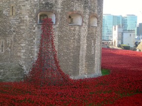 Poppies spill into the moat around the Tower of London