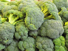 Most of the fresh broccoli sold in Canada comes from California.
