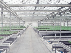 Greenhouse