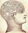 Like many therapists, the woman Kevin took his troubles to operates in a moral grey zone – where codes of ethical conduct are either non-existent, self-created or difficult to enforce.