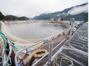 Salmon farms off B.C.’s coast will soon be able to apply for multi-year operating permits.