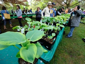 Send me details of your spring plant sale