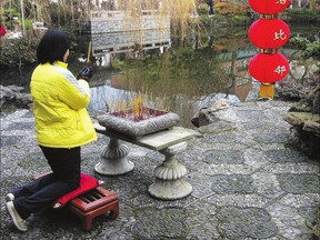 A study by psychology researchers Li-Shia Huang and Ching-I Teng suggests many Asian people have high devotion to the supernatural and paranormal powers associated with Lunar New Year. This woman in Vancouver pays homage to her ancestors at a New Year's event at Sun Yat-Sen Garden.