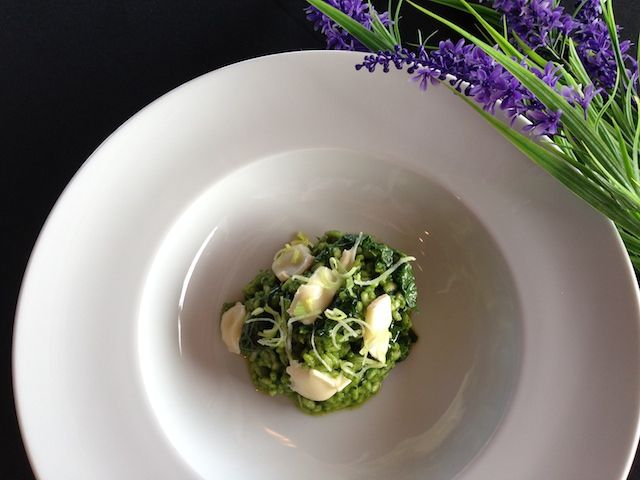 B.C. Nettle Risotto with Wild Leeks and Salt Spring Island Goat Cheese ...