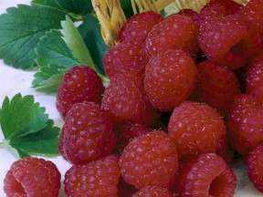 Raspberry Heritage