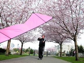 Egan Davis flying his cherry blossom kite.