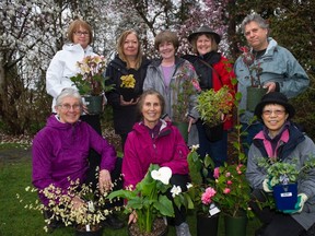 Joan Bentley, front centre, is surrounded by some of the volunteers who help her put on the annual VanDusen Botanical Garden plant sale on April 26. Over 20,000 plants of all different varieties will be available to buy.