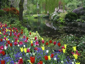 Flowers at the Sunken Garden, Butchart Gardens, Victoria, British Columbia, Canada